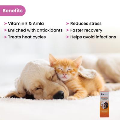 Wiggles Wimmuno+ Dogs & Cats Immunity Booster Probiotics Syrup 100 ml - Pet Healthcare