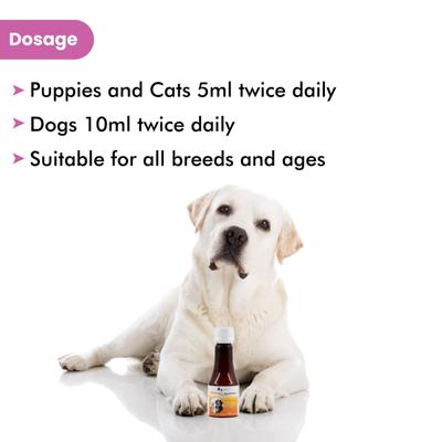 Wiggles Wimmuno+ Dogs & Cats Immunity Booster Probiotics Syrup 100 ml - Pet Healthcare