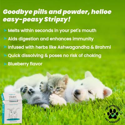 Wiggles Stripzy Dogs & Cats Immunity Booster Probiotics Strips 15's - Pet Healthcare