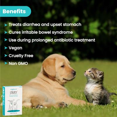Wiggles Stripzy Dogs & Cats Immunity Booster Probiotics Strips 15's - Pet Healthcare