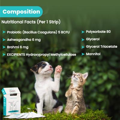 Wiggles Stripzy Dogs & Cats Immunity Booster Probiotics Strips 15's - Pet Healthcare