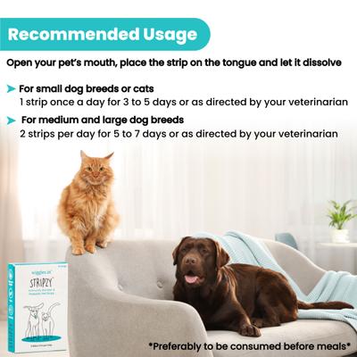 Wiggles Stripzy Dogs & Cats Immunity Booster Probiotics Strips 15's - Pet Healthcare