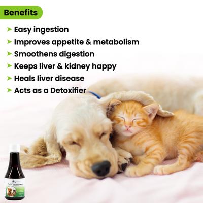 Wiggles Furliv Liver Dogs & Cats Tonic Syrup 200ml - Pet Healthcare