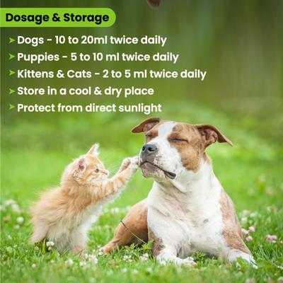 Wiggles Furliv Liver Dogs & Cats Tonic Syrup 200ml - Pet Healthcare