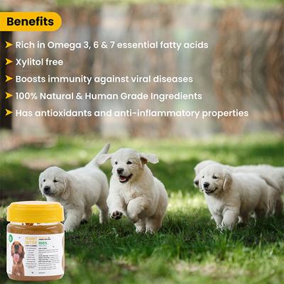 Wiggles Dog Peanut Butter 200 gm - Petfood