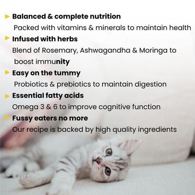 Wiggles Kittibles Adult Cat Food Dry Chicken Tuna Fish Recipe 1000 gm - Petfood
