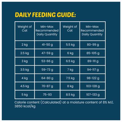 Wiggles Kittibles Adult Cat Food Dry Chicken Tuna Fish Recipe 1000 gm - Petfood