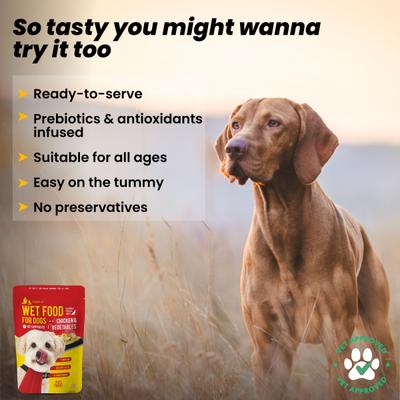 Wiggles Wet Dog Food Chicken Vegetable Gravy Puppy Adult Senior Pets (Pack of 2 x 150gm) 300 gm - Petfood