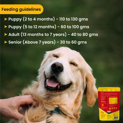 Wiggles Wet Dog Food Chicken Vegetable Gravy Puppy Adult Senior Pets (Pack of 2 x 150gm) 300 gm - Petfood