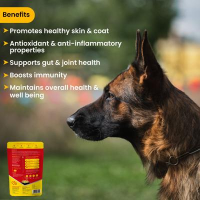 Wiggles Wet Dog Food Chicken Vegetable Gravy Puppy Adult Senior Pets (Pack of 4 x 150gm) 600 gm - Petfood