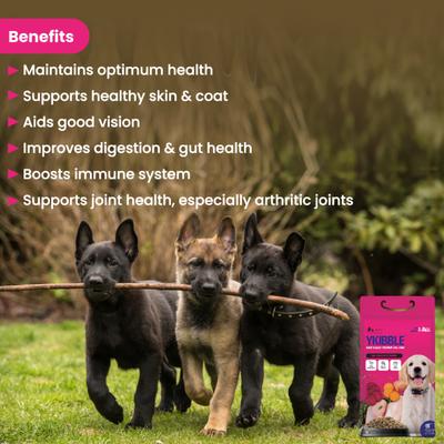 Wiggles Ykibble Puppy Food Dry Small Dogs Starter 2800 gm - Petfood