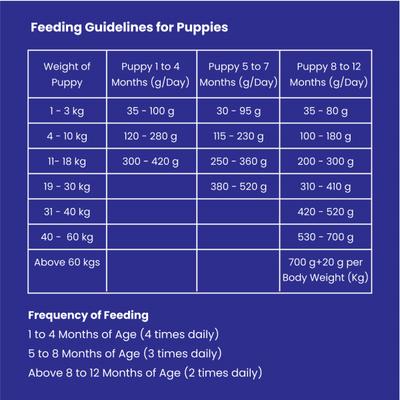 Wiggles Ykibble Puppy Food Dry Small Dogs Starter 2800 gm - Petfood