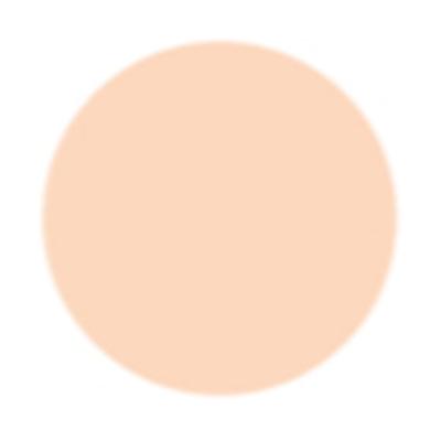 PAC HD Liquid Foundation 1.0 30 ml - Foundation