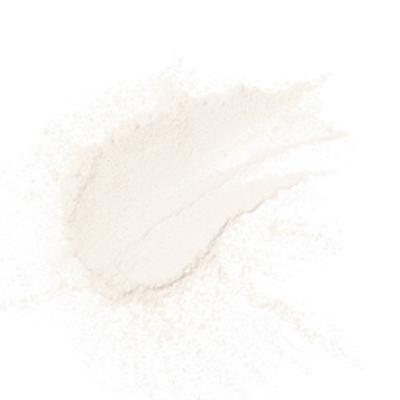 PAC Translucent Powder 01 AntiShine 15 gm - Loose Powder