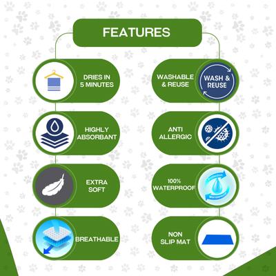 Amorite Waterproof Pet Dry Sheet (small) (Combo Pack- Pink + sea Blue) 1's - Pet accessories