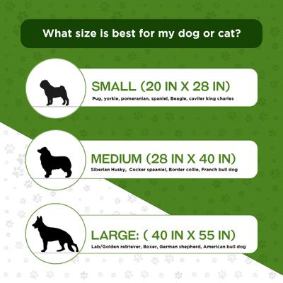 Amorite Waterproof Pet Dry Sheet (small) (Combo Pack- Pink + sea Blue) 1's - Pet accessories