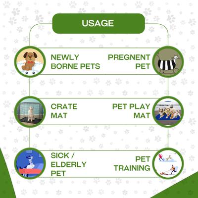 Amorite Waterproof Pet Dry Sheet (small) (Combo Pack- Royal Blue + salmon Rose) 1's - Pet accessories