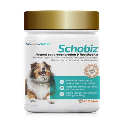 Vvaan Reviv Schobiz Natural Coat Regeneration And Healthy Skin Tablets 40's - Pet Healthcare