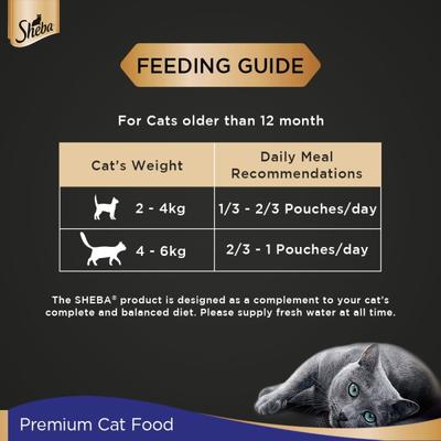 Sheba Fine Food for Cats - Chicken Premium Loaf (Pack of 70 gm x 12) 1's - Petfood