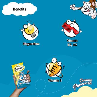 Temptations Treats for Cats Creamy Purrrree - Chicken & Tuna Flavour (Pack of 12 gm x 4) 1's - Petfood
