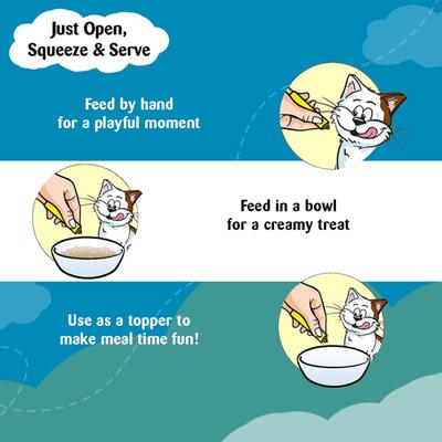 Temptations Treats for Cats Creamy Purrrree - Salmon & Cheese Flavour (Pack of 12 gm x 4) 1's - Petfood