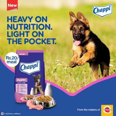 Chappi Puppy Dog Food - Chicken & Milk Flavor 3000 gm - Petfood
