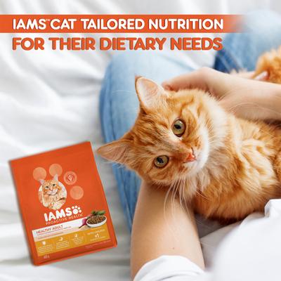 IAMS Proactive Health Nutrition for Adult Cats - Chicken 400 gm - Petfood