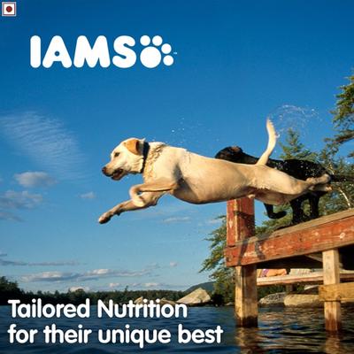IAMS Proactive Health Adult Dog Food - Large Breed 12000 gm - Petfood
