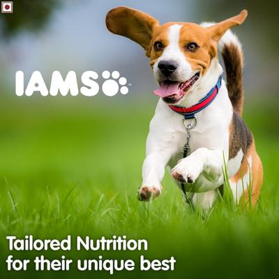 IAMS Proactive Health Adult Dog Food - Small & Medium Breed 3000 gm - Petfood