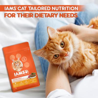 IAMS Proactive Health Nutrition for Adult Cats - Chicken 3000 gm - Petfood