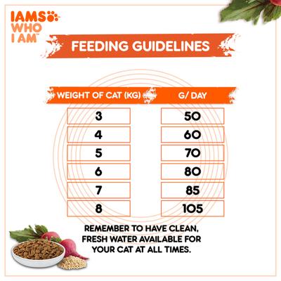 IAMS Proactive Health Nutrition for Adult Cats - Chicken and Salmon Meal 8000 gm - Petfood