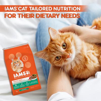 IAMS Proactive Health Nutrition for Adult Cats - Chicken and Salmon Meal 8000 gm - Petfood