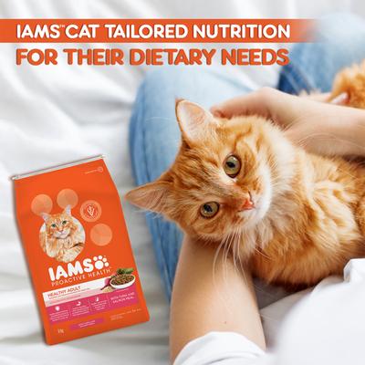IAMS Proactive Health Nutrition for Adult Cats - Tuna and Salmon Meal 8000 gm - Petfood