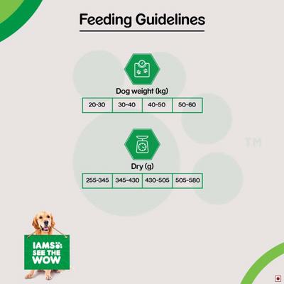 IAMS Proactive Health Golden Retriever Adult Dog Food 10000 gm - Petfood