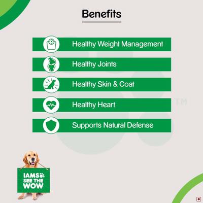 IAMS Proactive Health Golden Retriever Adult Dog Food 10000 gm - Petfood