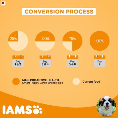 IAMS Proactive Health Smart Puppy Dog Food - Large Breed 3000 gm - Petfood