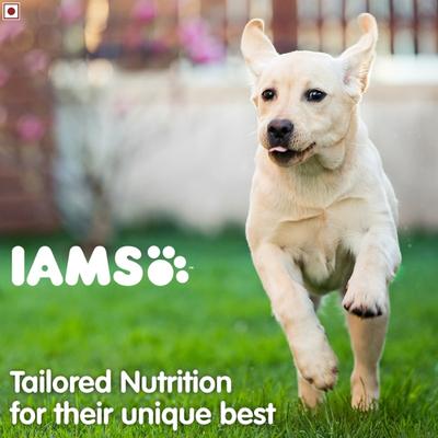 IAMS Proactive Health Smart Puppy Dog Food - Large Breed 8000 gm - Petfood