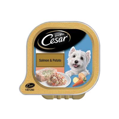 Cesar Adult Dog Food - Salmon & Potato 100 gm - Petfood
