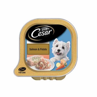 Cesar Adult Dog Food - Salmon & Potato (Pack of 24 x 100 gm) 1's - Petfood