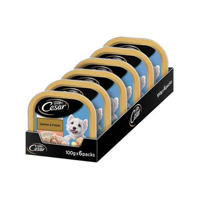 Cesar Adult Dog Food - Salmon & Potato (Pack of 6 x 100 gm) 1's - Petfood