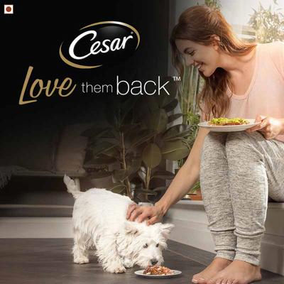 Cesar Adult Dog Food - Salmon & Potato (Pack of 6 x 100 gm) 1's - Petfood