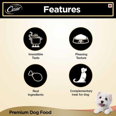 Cesar Adult Dog Food - Salmon & Potato (Pack of 6 x 100 gm) 1's - Petfood