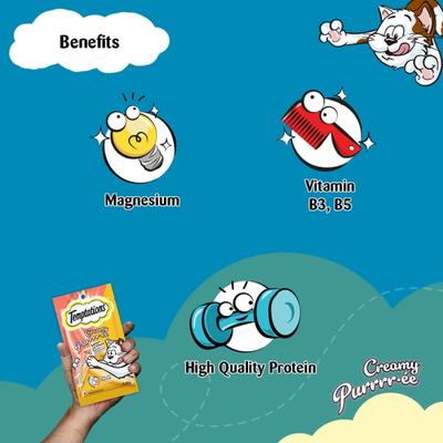 Temptations Treats for Cats Creamy Purrrree - Salmon & Cheese Flavour (Pack of 48 gm x 24) - Petfood