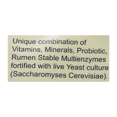 Rumen FS Powder 100 gm - Feed Supplement