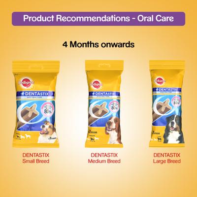 Pedigree Jumbone - Chicken & Rice Flavour (Pack of 2 x 180 gm) Medium - Petfood