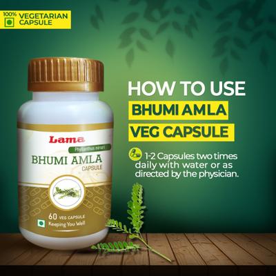 Lama Bhumi Amla Capsules 60's - Speciality Medicines