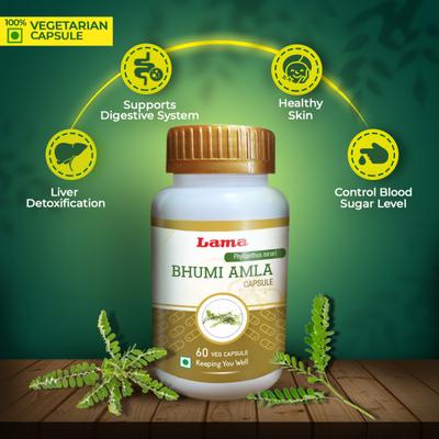 Lama Bhumi Amla Capsules 60's - Speciality Medicines