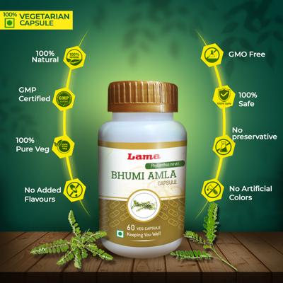 Lama Bhumi Amla Capsules 60's - Speciality Medicines