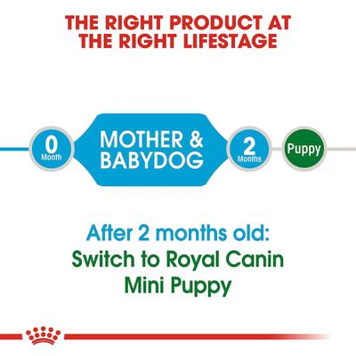 Royal Canin Starter Mother & Babydog Mini Dry Dog Food - (Upto 10 kg) 8.5 kg - Petfood