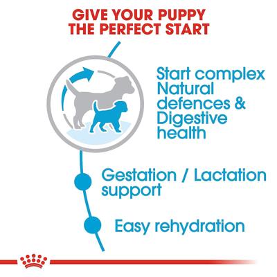 Royal Canin Starter Mother & Babydog Mini Dry Dog Food - (Upto 10 kg) 8.5 kg - Petfood